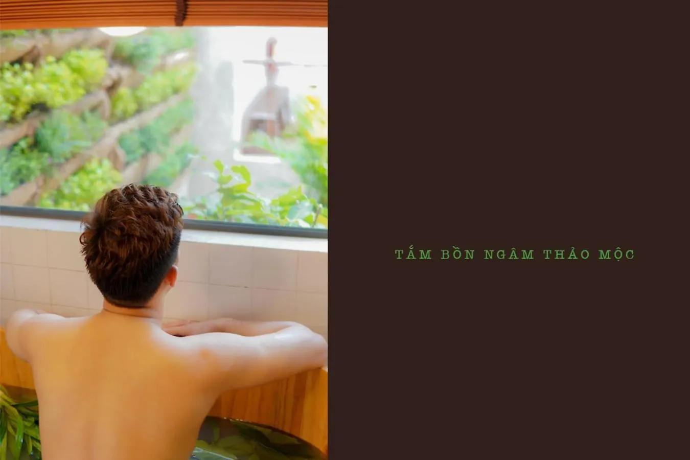 5-Homestay I Vũng Tàu