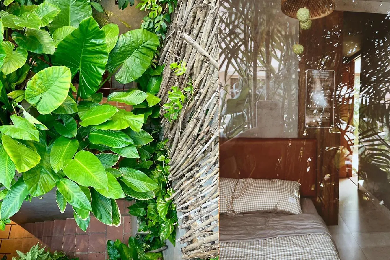 5-Homestay I Vũng Tàu Vietnam