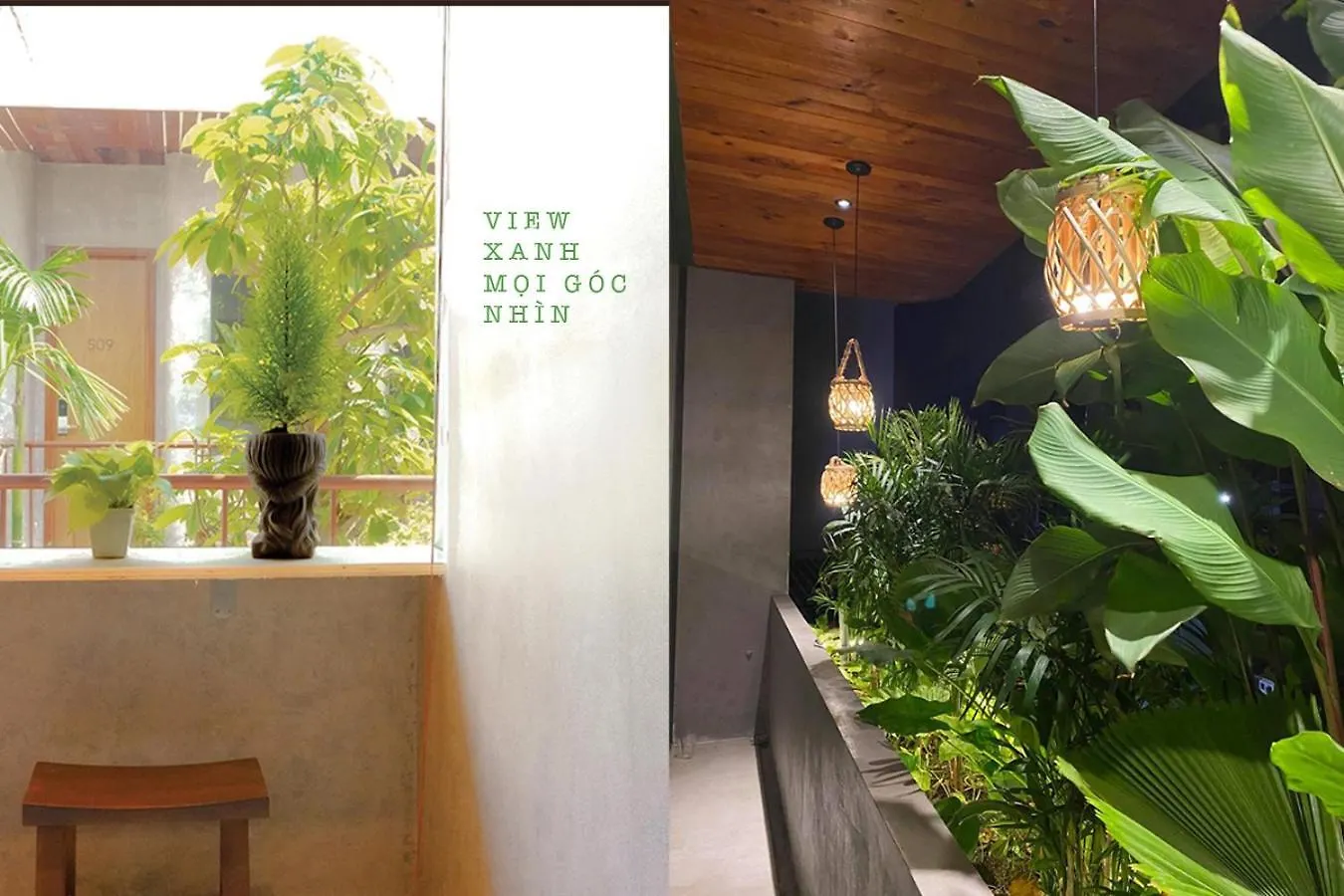 5-Homestay I Vũng Tàu