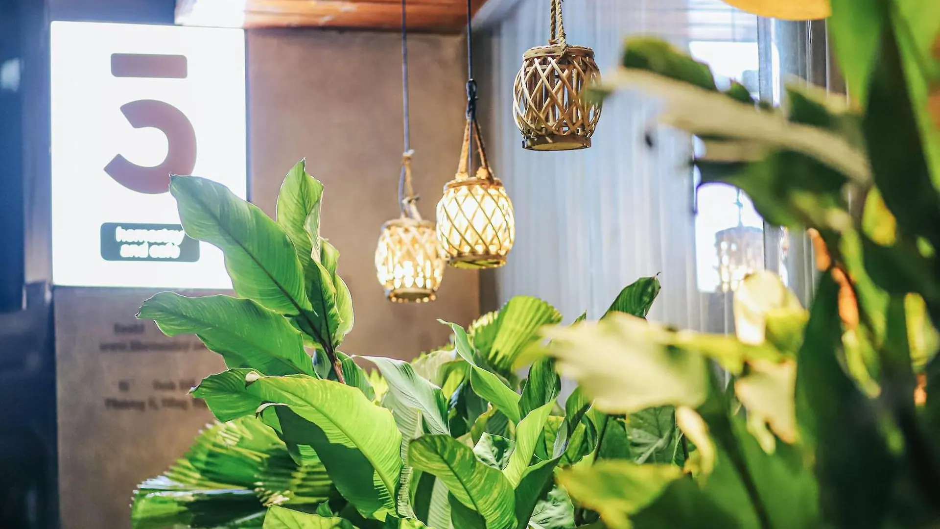 Gæstehus 5-Homestay I Vũng Tàu Vietnam